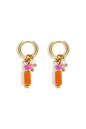 Boucles D'Oreilles Avec Breloques Colorées h5 