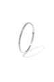 couleur argent Image2