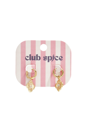 Boucles D'Oreilles Ornées D'Un Élégant Trèfle Et De Pierres h5 Image3