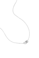 couleur argent Image2