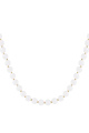 Blanc Image4
