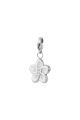 couleur argent Image2