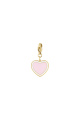 Rose Image3
