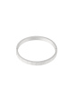 couleur argent Image2