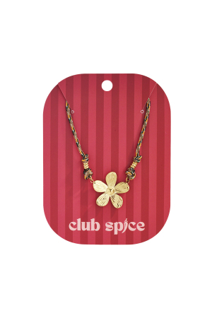 Colliers Pendentifs En Acier Inoxydable Fleur Casual Daily Simple Série Bijoux Pour Femmes h5 Image5