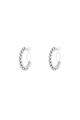 couleur argent Image2