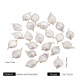 Perle Blanche C Image2