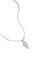 couleur argent Image2