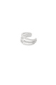 couleur argent Image2