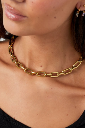 Collier Maillons Allongés Avec Breloques h5 Image3