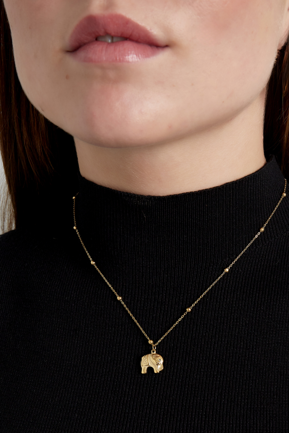 Collier À Breloques Éléphant h5Image2