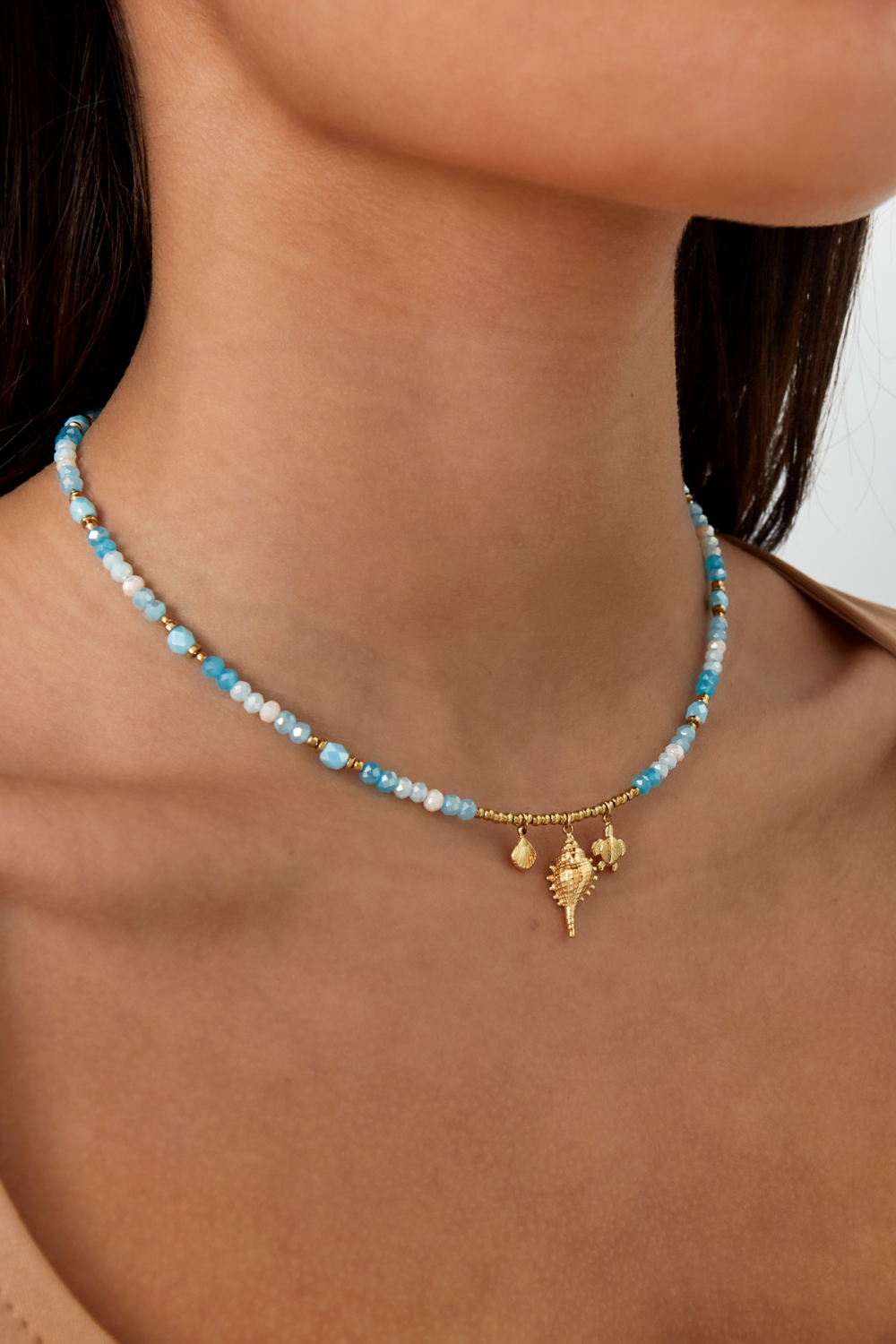 Collier Coquillage Spectacle - Couleur Bleu Or Image2