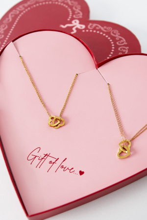 Colliers Love Knots En Acier Inoxydable - Cadeau D'amour h5 Image2