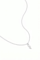 couleur argent Image2