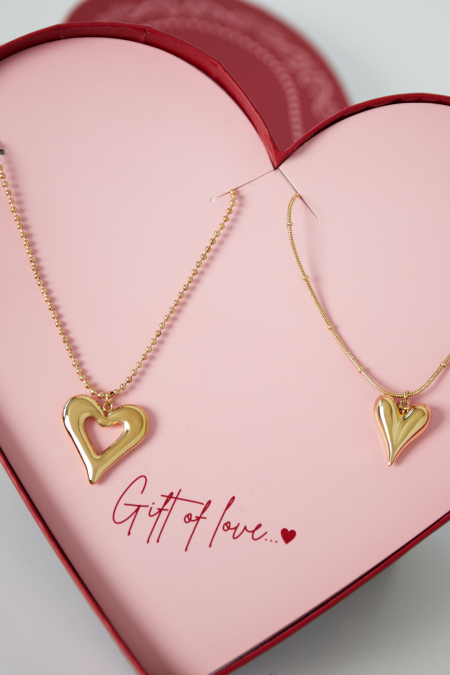 colliers double cœur en acier inoxydable - cadeau d'amour 2