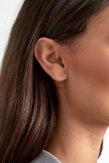 Boucles d'oreilles en acier inoxydable à petits points 2