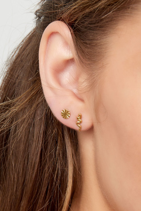 Bouchon d'oreille serpent - argent Acier Inoxydable 2