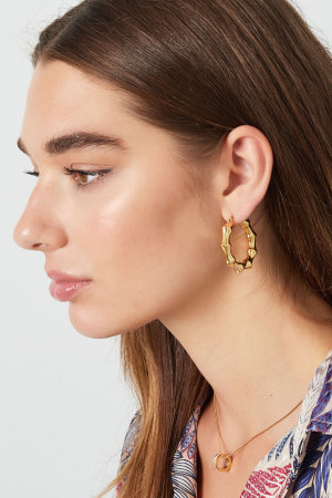 Boucles D'oreilles Rondes Torsades h5 Image3