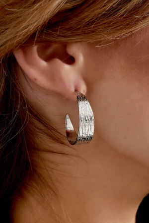 Boucles D'oreilles Demi Rondes Avec Imprimé Petit h5 Image4