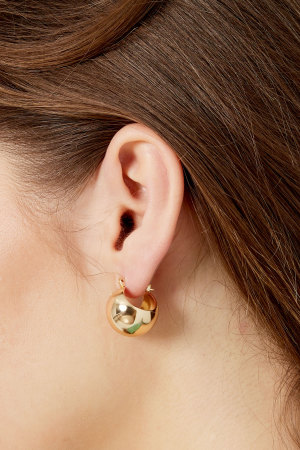Boucles D'oreilles Forme Ronde - Doré h5 Image3