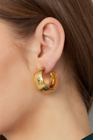 Boucles D'oreilles Lune Brossée h5 Image7
