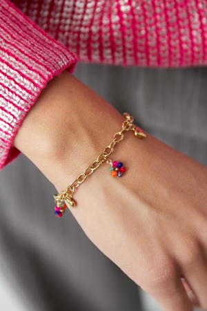 Bracelet À Breloques Avec Breloques Colorées - Doré h5 Image2