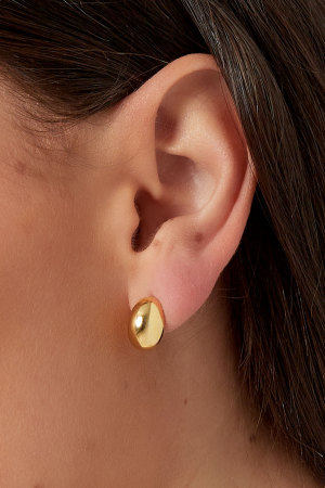 Boucle D'oreille Bouton Argentée h5 Image3