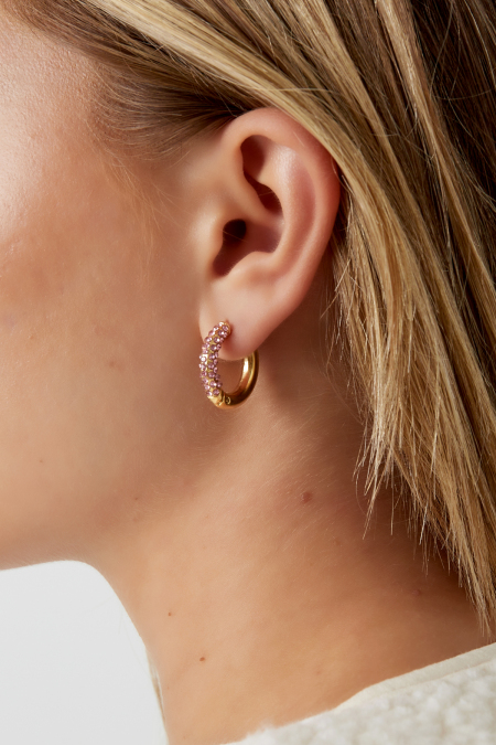 Boucles d'oreilles Shiny Rings 2