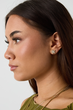 Boucles D'Oreilles Puces En Acier Inoxydable, Style Étoile, Collection Daily Simple, Bijoux Pour Femmes h5 Image4