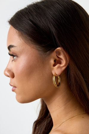 Boucles D'Oreilles Doubles Créoles Avec Détail Torsadé h5 Image4