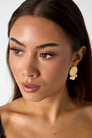 Boucles D'oreilles Coin Avec Grelots h5 Image2