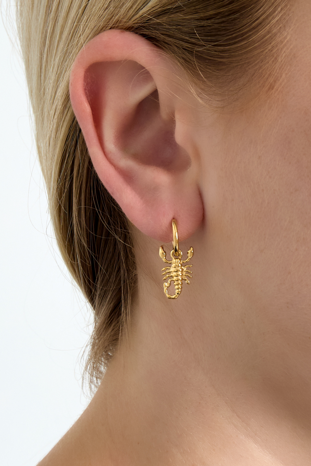 Boucles D'Oreilles Scorpion Spirit Image2