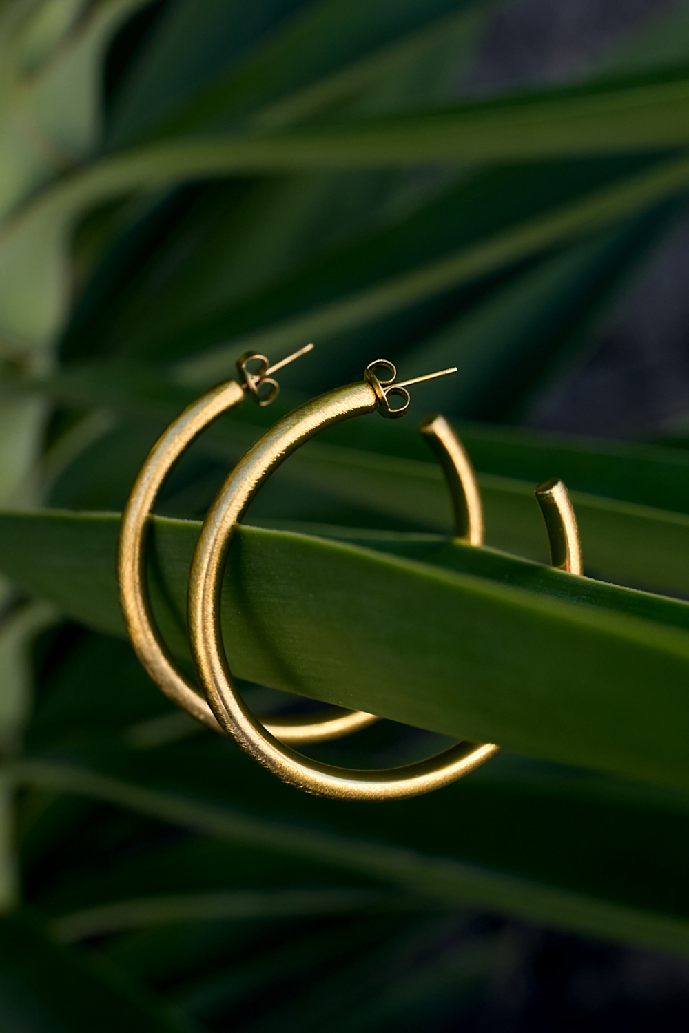 Boucles D'Oreilles Créoles Cercle Casual Daily Simple Series Bijoux Pour Femmes Image2
