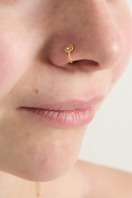 Amour de manchette de nez et d'oreille 2