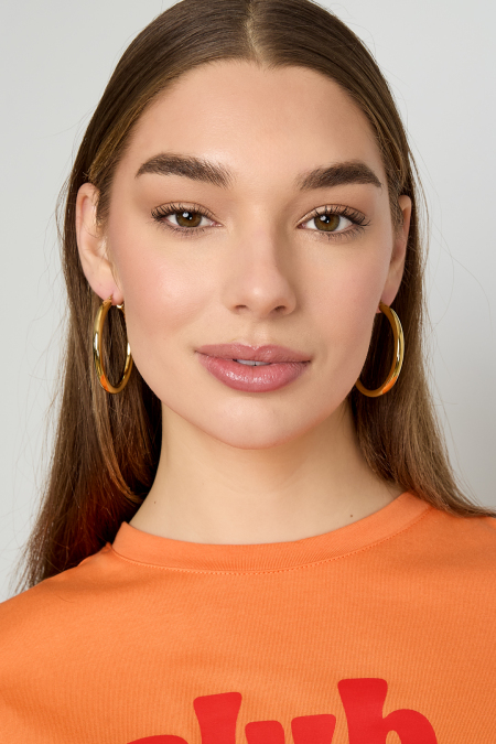 Boucles d'oreilles créoles en acier inoxydable, style décontracté et simple, collection femme 2