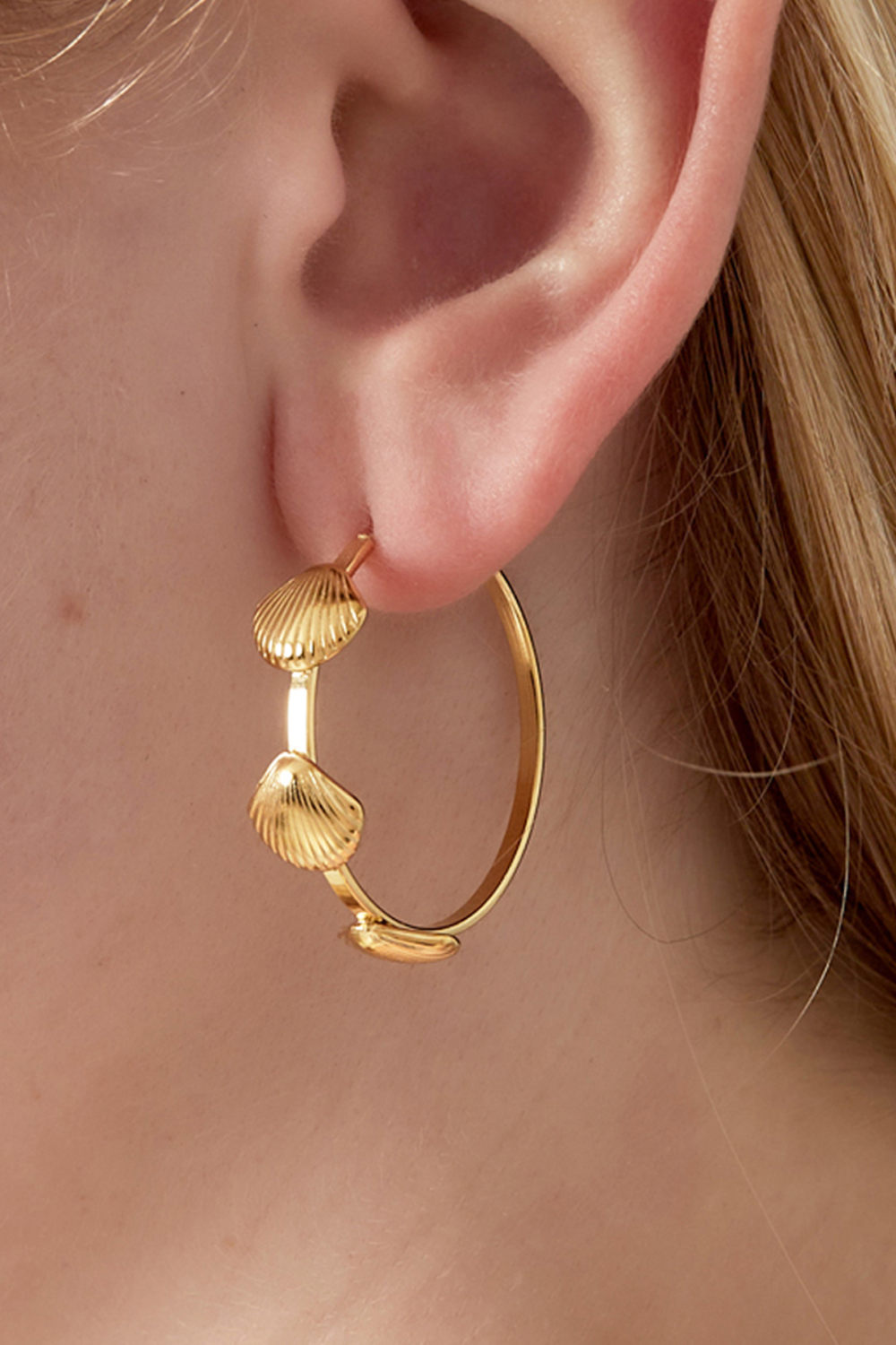 Boucles D'Oreilles Créoles Coquillage Image2