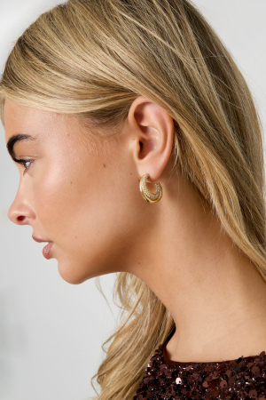 Boucles D'Oreilles Créoles En Acier Inoxydable, Style Décontracté, Simple Et Quotidien, Pour Femmes h5 Image4