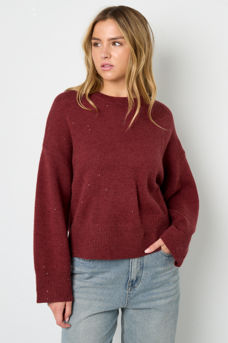 Pulls Tricotés Fibres de Polyester Femmes Style Décontracté Couleur Unie Automne/Hiver