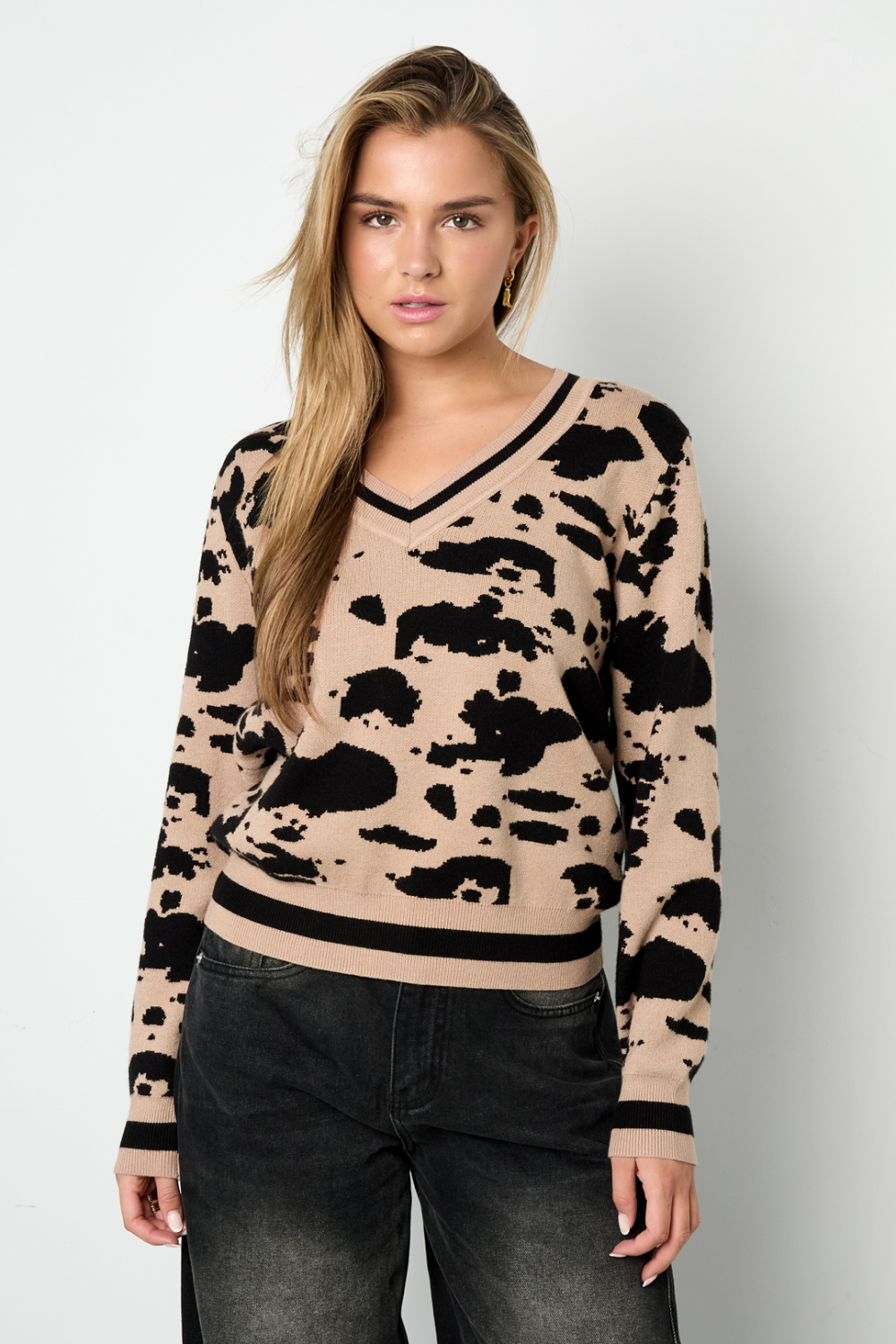 Tricot (Y Compris Crochet Et Tissus En Laine) Pull À Col En V Imprimé Léopard Pour Femme Automne/Hiver Décontracté Image3