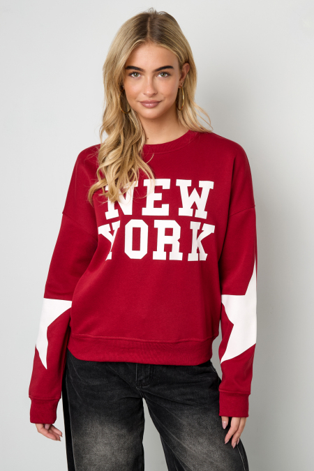 Pull New York avec étoile