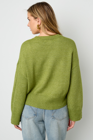 Pulls Tricotés Fibres De Polyester Femmes Style Décontracté Couleur Unie Automne/Hiver h5 Image11