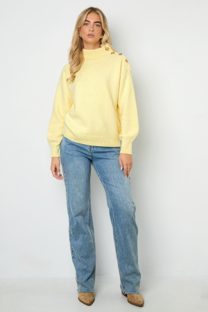 Pull Col Roulé Femme En Fibre De Polyester Tricotée Style Décontracté Couleur Unie h5 Image6
