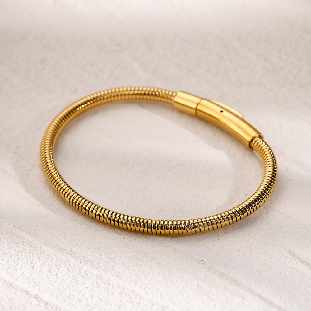 Bracelet Simple En Acier Inoxydable  Européen Et Américain Au Design Unique De Style Froid, Bracelet À Chaîne En Os De Serpent Rond En Or Image4