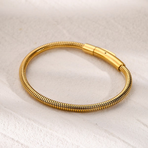 Bracelet Simple En Acier Inoxydable  Européen Et Américain Au Design Unique De Style Froid, Bracelet À Chaîne En Os De Serpent Rond En Or h5 Image4
