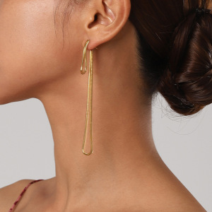 Boucles D'Oreilles Pendantes En Acier Inoxydable, Longues Boucles D'Oreilles À Maillons Ronds En Forme D'Os De Serpent, Style Plage, Avec Pompons Longs. h5 Image5