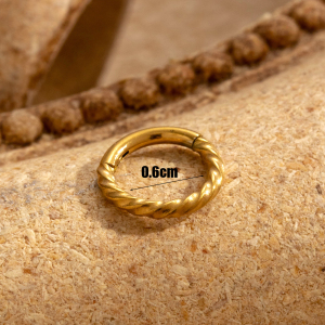 1 Pièce De Boucles D'Oreilles Créoles Géométriques Simples En Acier Titane Sans Placage Pour Femmes h5 Image4