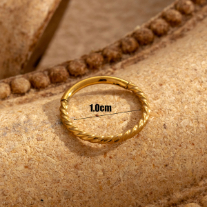 1 Pièce De Boucles D'Oreilles Créoles Géométriques Simples En Acier Titane Sans Placage Pour Femmes h5 Image6