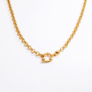 Collier Chaîne Femme Diy En Acier Inoxydable, Couleur Or, Étanche, 1 Pièce, Collection Simple Series h5 Image11