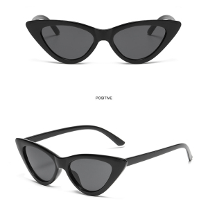 1 Paire De Lunettes De Soleil Simples En Plastique Pour Femmes, De Couleurs Mélangées, Pour Un Usage Quotidien h5 Image5