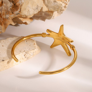Bracelet Pour Femme En Acier Inoxydable Plaqué Or , Série Classique, Étoile Naturelle h5 Image5